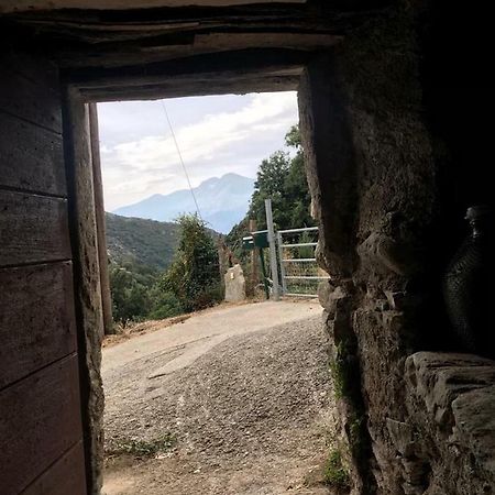 ,A Cantinella, Une Cave A Fromage Au Centre Corse Santa-Lucia-di-Mercurio Luaran gambar