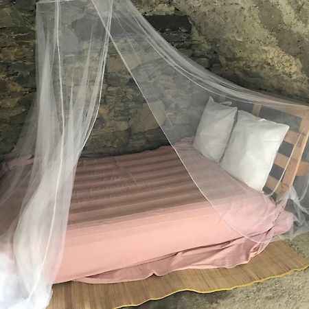 ,A Cantinella, Une Cave A Fromage Au Centre Corse Santa-Lucia-di-Mercurio Luaran gambar