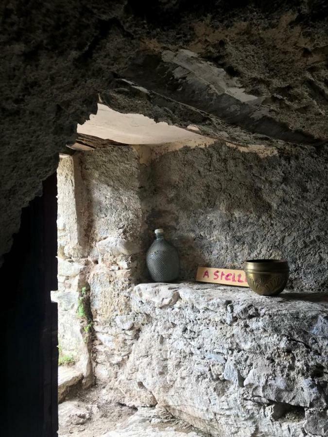 ,A Cantinella, Une Cave A Fromage Au Centre Corse Santa-Lucia-di-Mercurio Luaran gambar