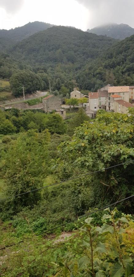 ,A Cantinella, Une Cave A Fromage Au Centre Corse Santa-Lucia-di-Mercurio Luaran gambar